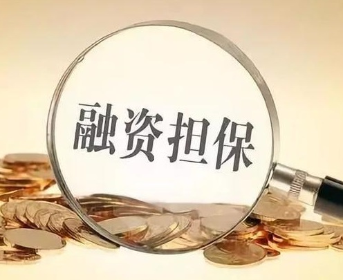 融资担保业务-线下